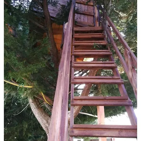 L'oasi Del Vulture *